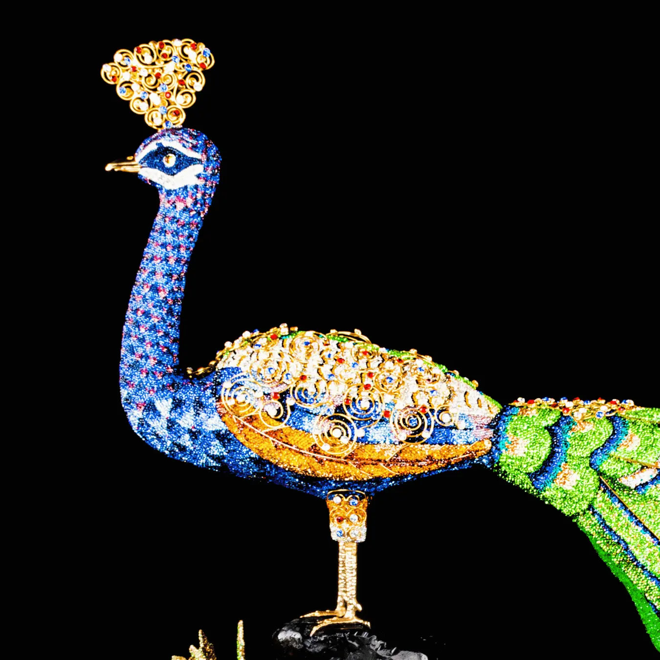 Jewel of the Wild